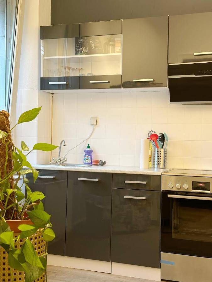 Igo Apartment 2 Schlafenzimmer Mit Waschmaschine Trockner Haustier Rheinufer 5Min Netflix Disney Plus 17-6 Duisburgo Exterior foto